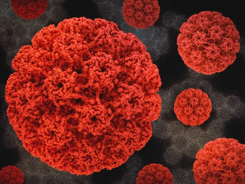 Decoding Autoimmune Disease for High‑Performance Professionals - Your Health Directory Decoding Autoimmune Disease for High‑Performance Professionals - Your Health Directory