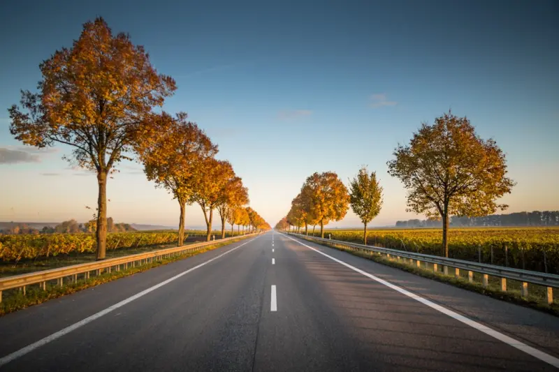 Traveling Smart: Prediabetes Strategies for the Road - Your Health Directory