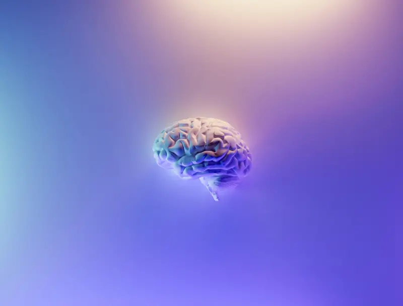 Neuro‑Fitness: Building Brain Strength with Adaptive Learning Loops