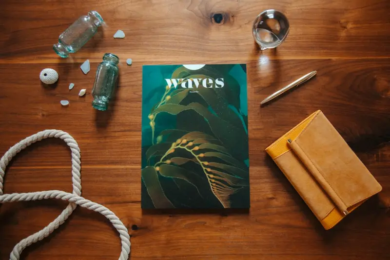 Vaping’s New Wave: Design, Community, and the Circular Future
