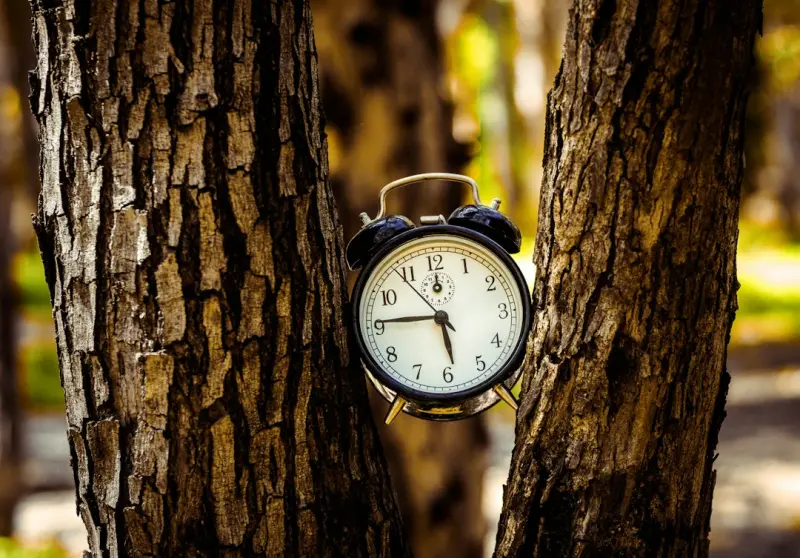 When the Clock Stops: Turning Midnight Restlessness into a Design Advantage - Your Health Directory