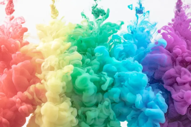 Colorful Nutrition: Using Plant Pigments to Boost Mood, Focus, and Performance