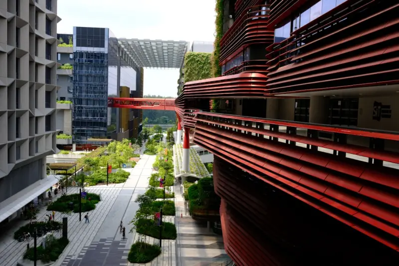 Why Urban Green Spaces Are Your Secret Weapon for Peak Mental Clarity Why Urban Green Spaces Are Your Secret Weapon for Peak Mental Clarity
