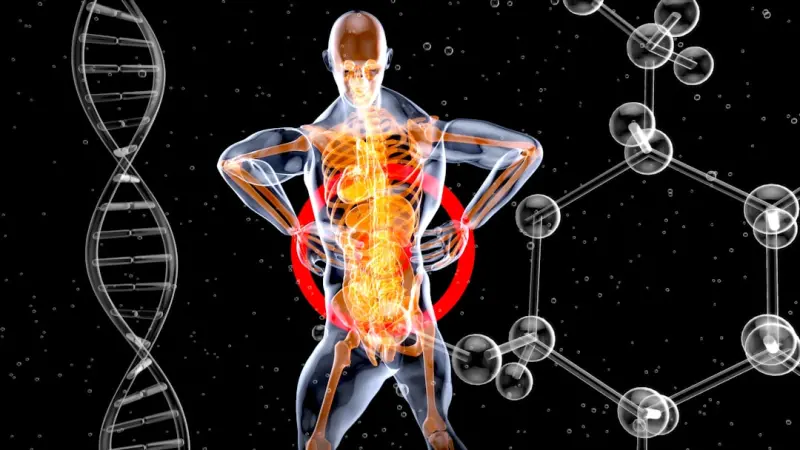Heat, Cold, and the Longevity Switch: How Hormetic Temperature Stress Extends Life