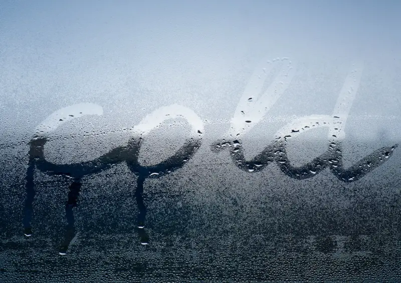 Cold Showers, Digital Declutter, and the Modern Man’s Quest for Peak Vitality