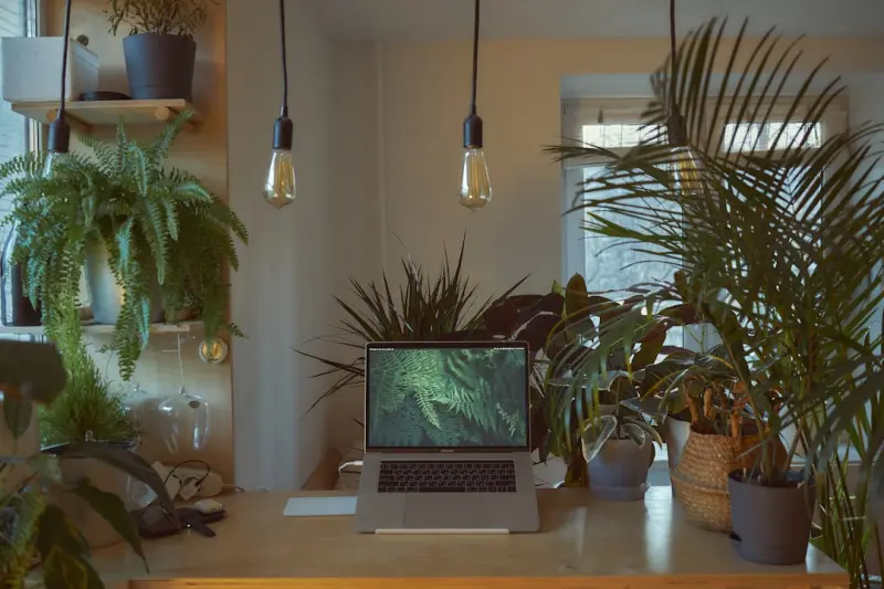 The Hidden Climate of Your Office: How Light, Temperature, and Sound Influence Blood Sugar