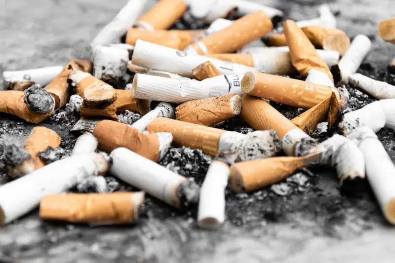 The Hidden Economics and Environmental Impact of Smoking and Vaping