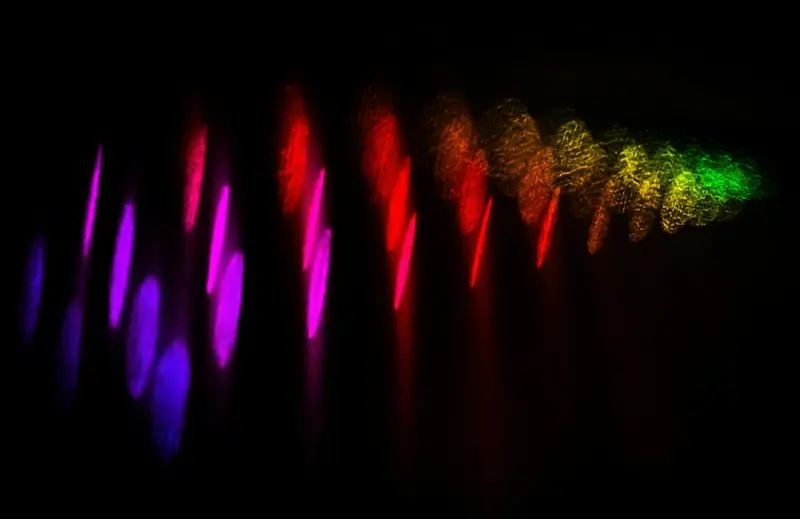 Silent Signals: How Ambient Light Shapes Your Immune System - Your Health Directory Silent Signals: How Ambient Light Shapes Your Immune System - Your Health Directory