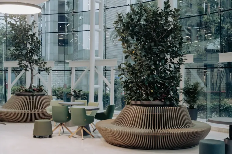 When the Office Gets Green: Biophilic Design as a Prescription for Modern Health