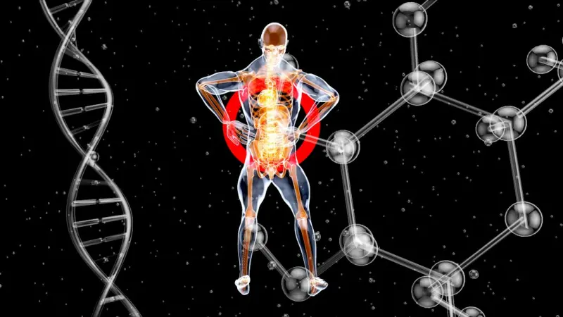 Adaptive Thermogenesis: Turning Your Body Into a Fat‑Burning Engine - Your Health Directory