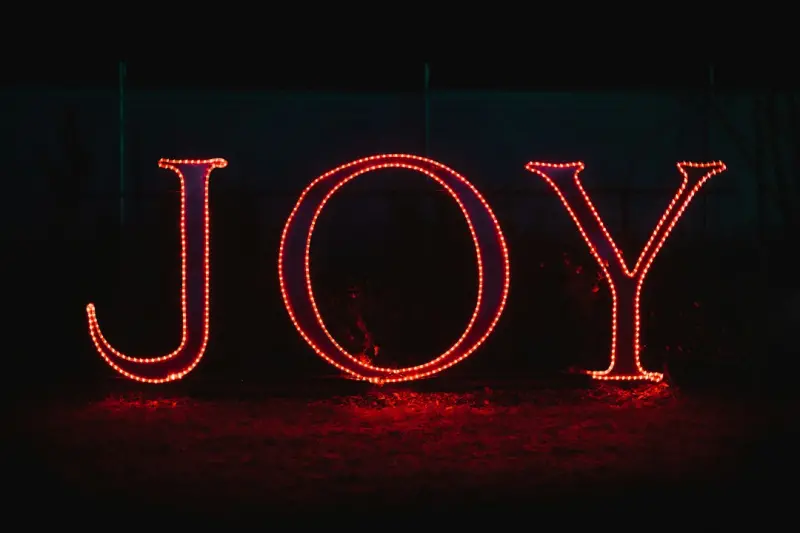 Playful Aging: How Joy, Connection, and Light Stress Extend Your Healthspan - Your Health Directory