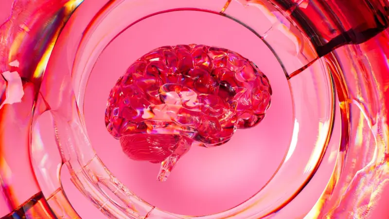 Cultivating Cognitive Vitality Through Micro‑Learning - Your Health Directory