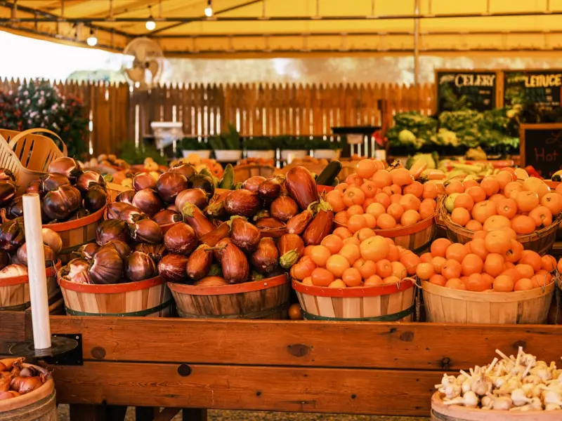 The Liver’s Secret Ally: How Seasonal Foods Boost Detox and Vitality - Your Health Directory The Liver’s Secret Ally: How Seasonal Foods Boost Detox and Vitality - Your Health Directory