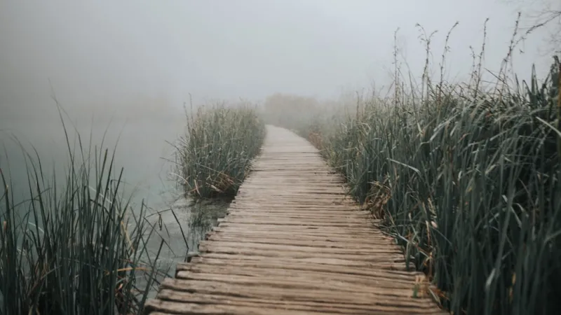Finding Calm in the Chaos: A Holistic Path to Mental Wellness