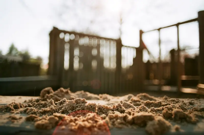 Reclaiming the Grown‑Up Playground: How Unstructured Outdoor Play Boosts Fitness and Creativity - Your Health Directory