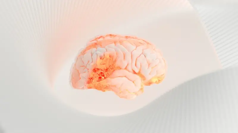 Breathing New Life into Brain Health: Harnessing the Power of Breathwork