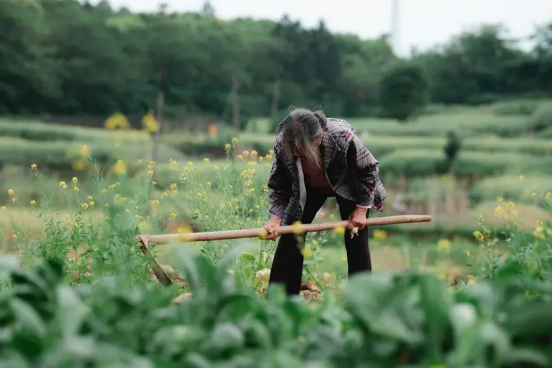 Cultivating Longevity: How Small Daily Shifts Shape a Vibrant Later Life - Your Health Directory Cultivating Longevity: How Small Daily Shifts Shape a Vibrant Later Life - Your Health Directory