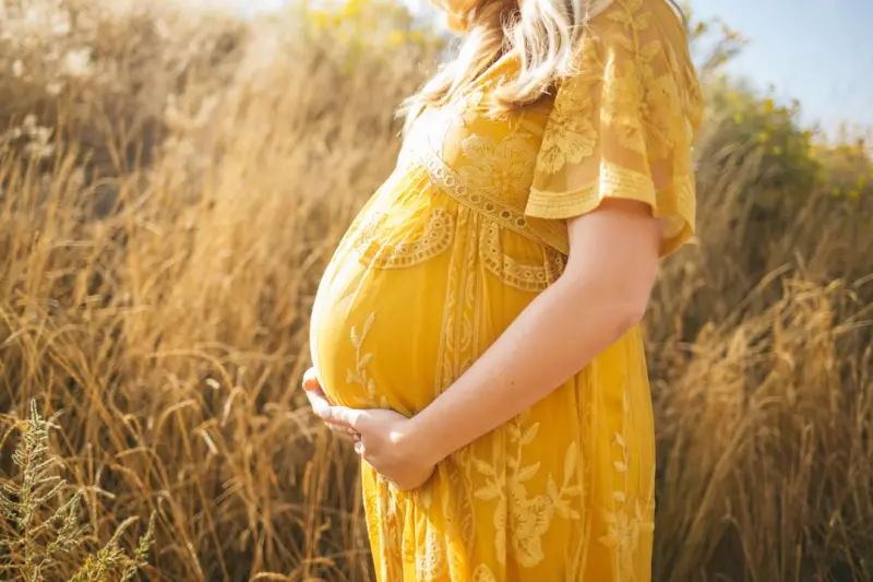 Pregnancy as a Project: Applying Systems Thinking to Thrive During the Nine‑Month Journey