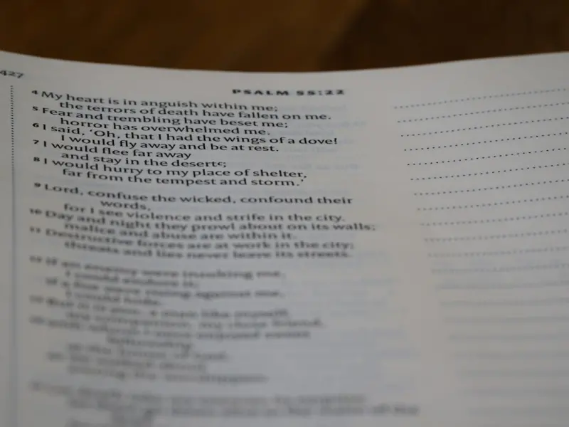 Micro‑Shifts for Prediabetes: A Practical Playbook for Everyday Balance - Your Health Directory