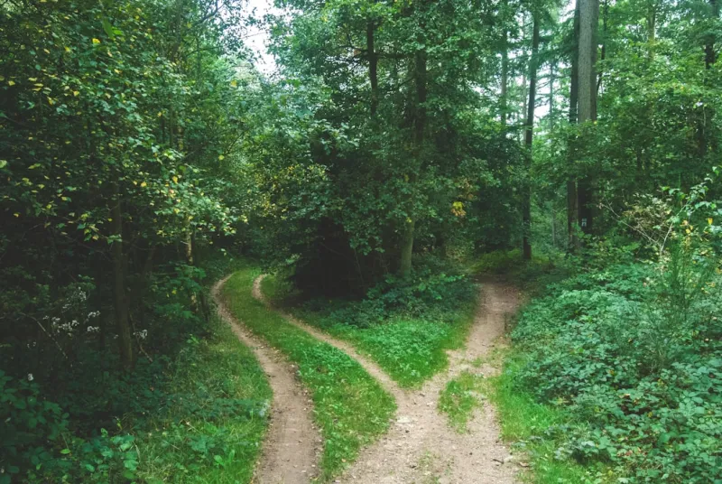 Living Wide Awake: My Holistic Path Through Narcolepsy