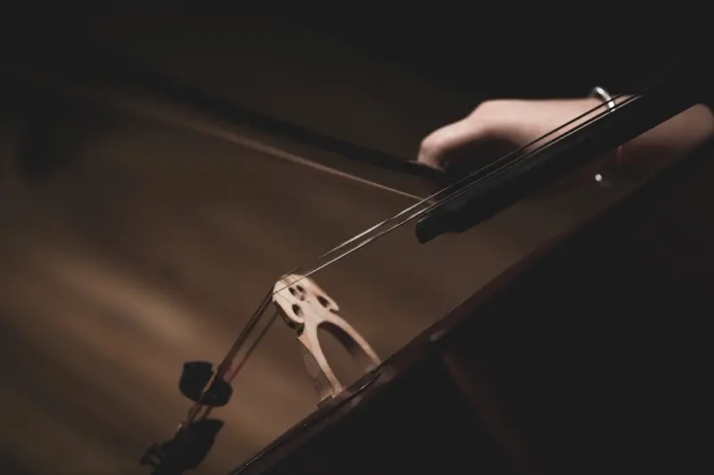 Quiet Symphony: Unseen Levers Shaping Infant Health from Day One - Your Health Directory