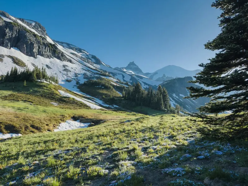 Strategic Hydration: The Untapped Edge for Peak Health - Your Health Directory
