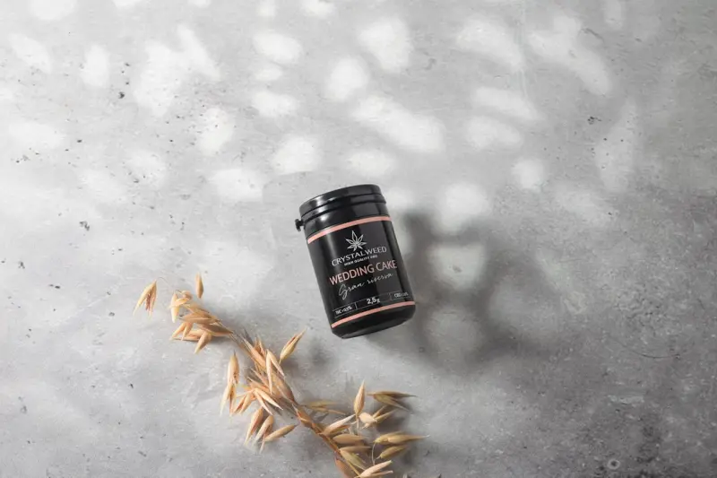 Fermentation Frontiers: How Wild Cultures Supercharge Your Health - Your Health Directory