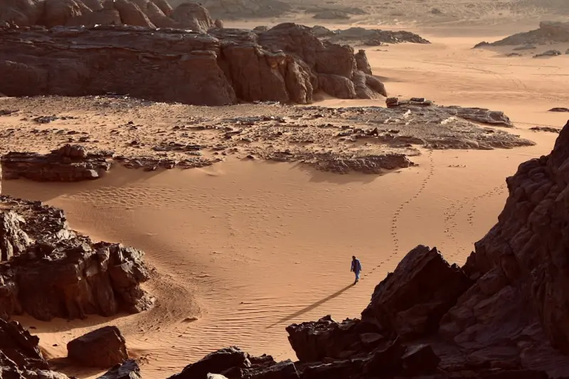 Curiosity as the Secret Ingredient for Thriving in Later Life