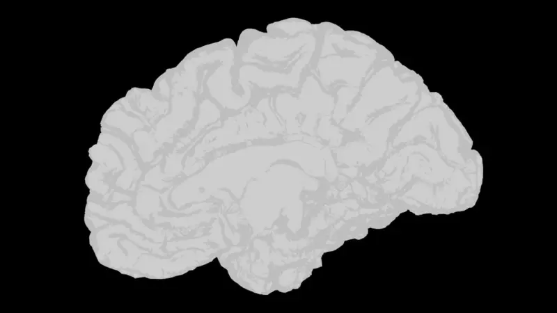 Rewilding Your Brain: How Nature Restores Cognitive Vitality - Your Health Directory