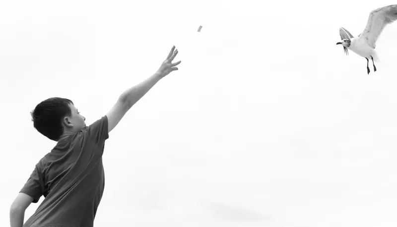Finding Freedom: How Creative Play Redefines Our Relationship with Food - Your Health Directory