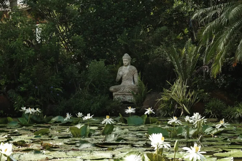 Nurturing Your Inner Garden: A Holistic Journey to Gut Health
