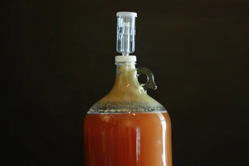 Fermentation at Home: A Simple Path to Better Metabolism and Mood