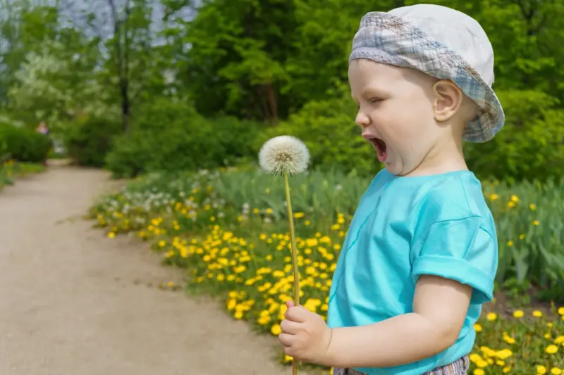 Sensory Enrichment: A Fresh Path to Healthy Aging