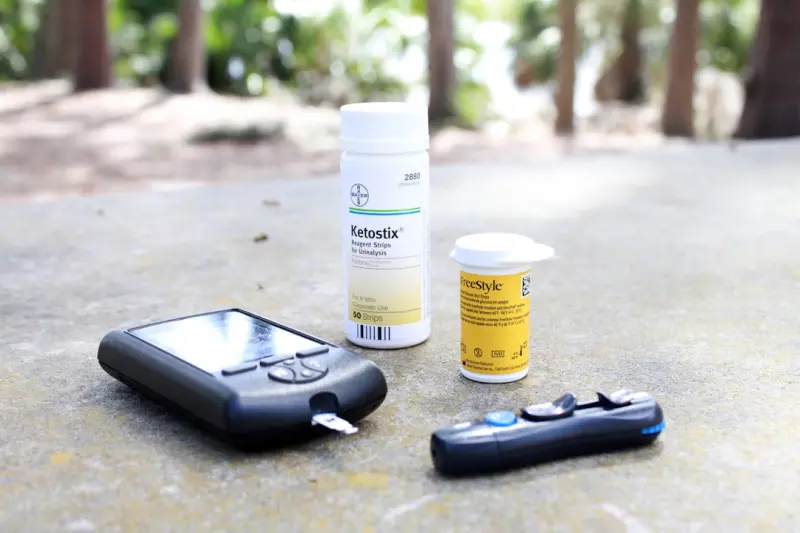Holistic Blueprint for Stable Blood Sugar