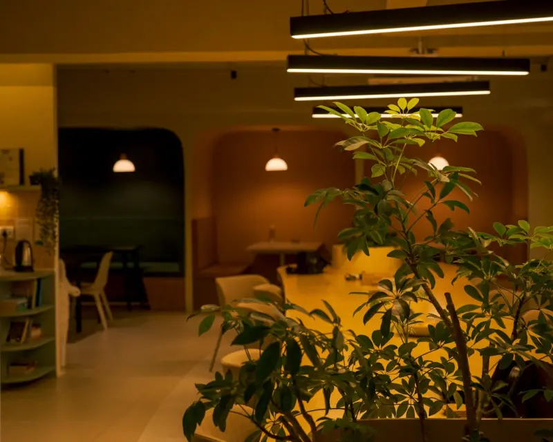 Illuminating Health: How Office Lighting Shapes Energy, Focus, and Longevity