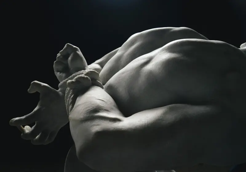Why Traditional Muscle‑Gain Advice Feels Outdated - Your Health Directory