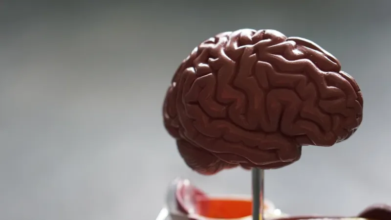 Unlocking Brain Health: Holistic Strategies for a Sharper Mind