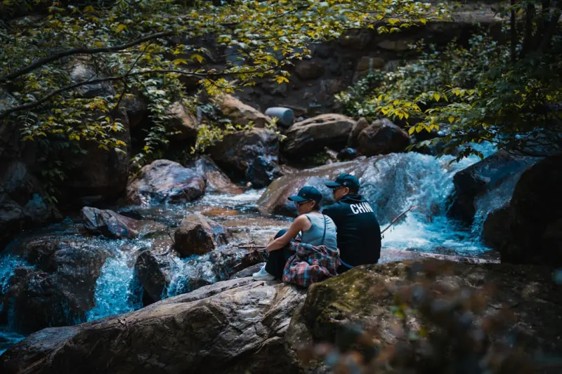 Nature’s Neural Boost: How Outdoor Immersion Sharpens Your Brain Nature’s Neural Boost: How Outdoor Immersion Sharpens Your Brain
