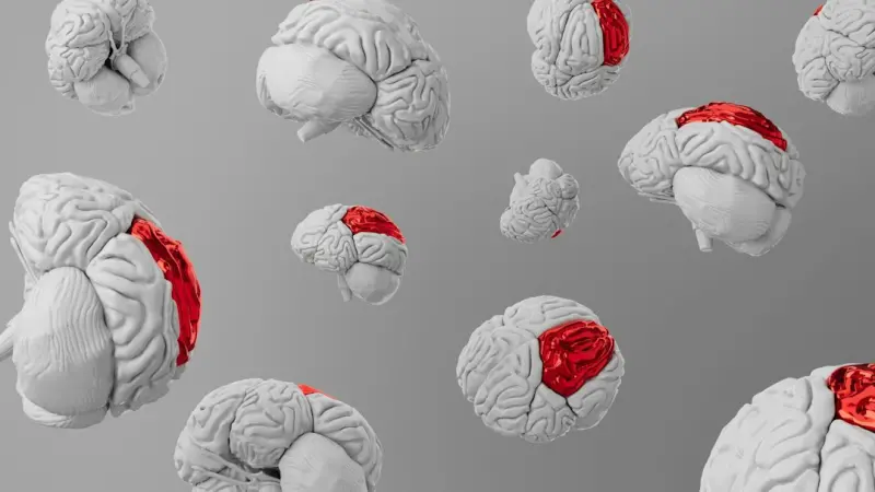 Playful Movement: The Secret Brain Booster Every Professional Needs - Your Health Directory Playful Movement: The Secret Brain Booster Every Professional Needs - Your Health Directory