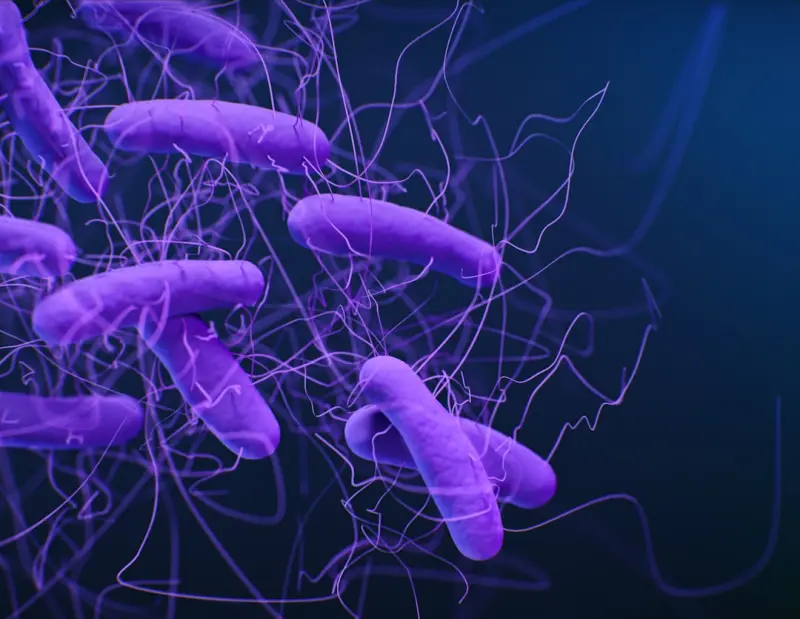 Gut‑First Strategies: Rebalancing Microbiome, Movement, and Mind for Autoimmune Relief