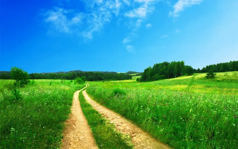 From Frustration to Freedom: My Holistic Path to Sustainable Weight Loss