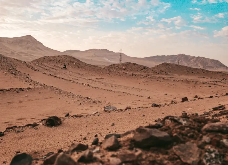 Why Curiosity Fuels Longevity: The Science Behind a Lifetime of Learning - Your Health Directory