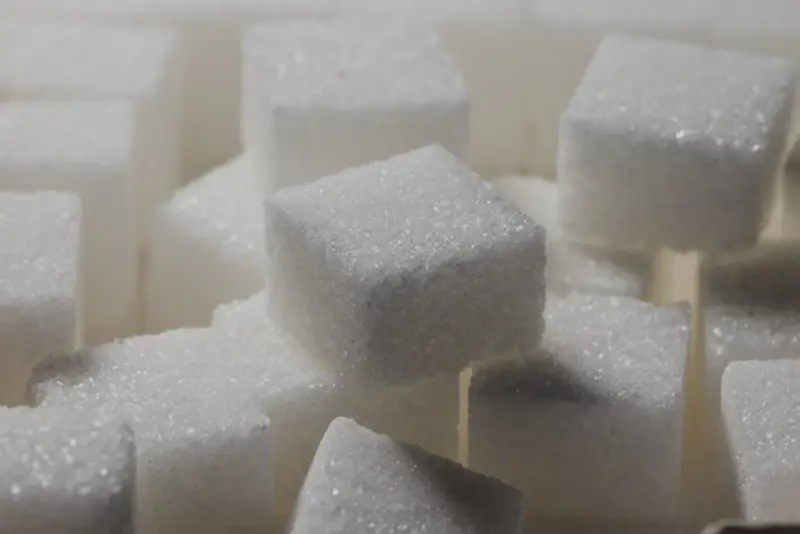 Stable Blood Sugar: The Unseen Edge for High Performers - Your Health Directory