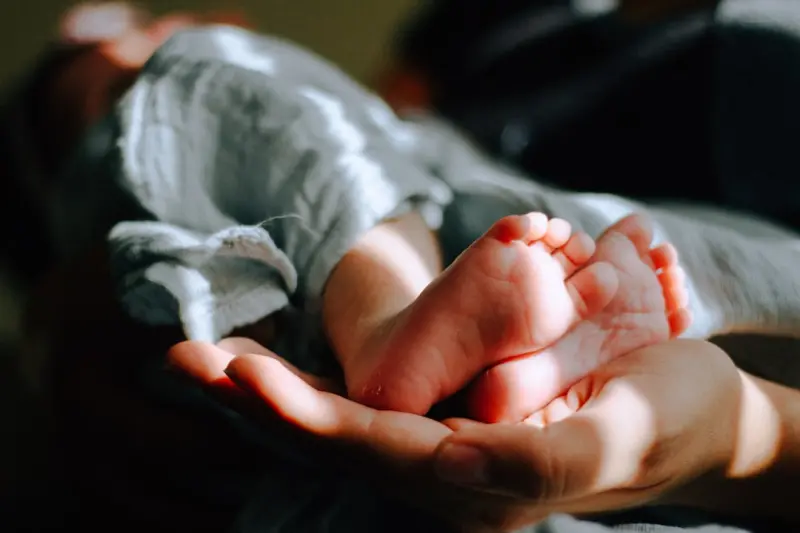 Cultivating a Healthy Gut for Your Newborn: A Parent’s Practical Guide