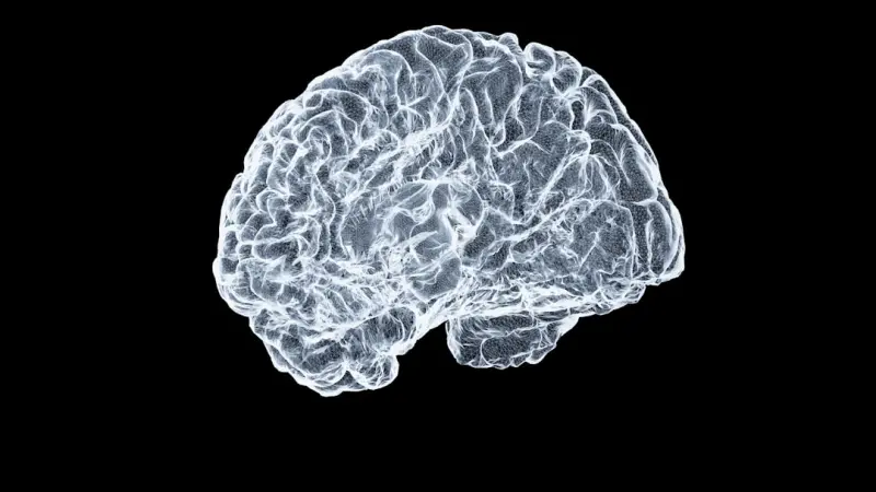 Micro‑Movements for Brain Fitness: Tiny Physical Shifts That Supercharge Cognitive Resilience