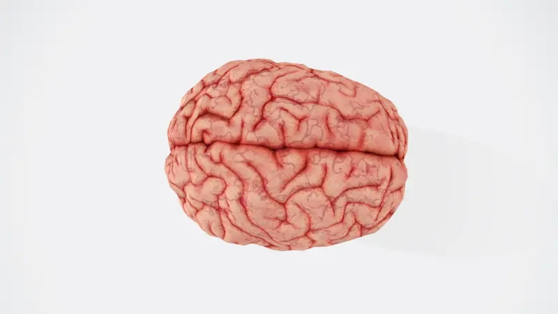 Neurotraining for the Modern Professional: Turning Your Brain Into a Muscle Neurotraining for the Modern Professional: Turning Your Brain Into a Muscle