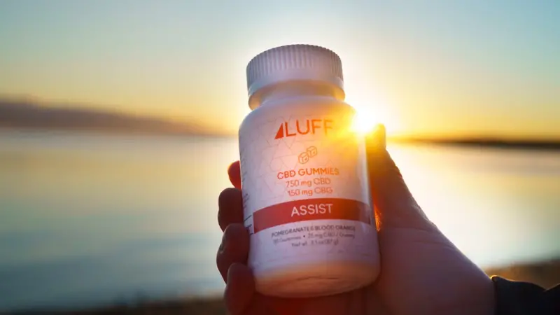 Night‑Shift Nutrition: Aligning Your Lifestyle with the Liver’s Natural Clock - Your Health Directory