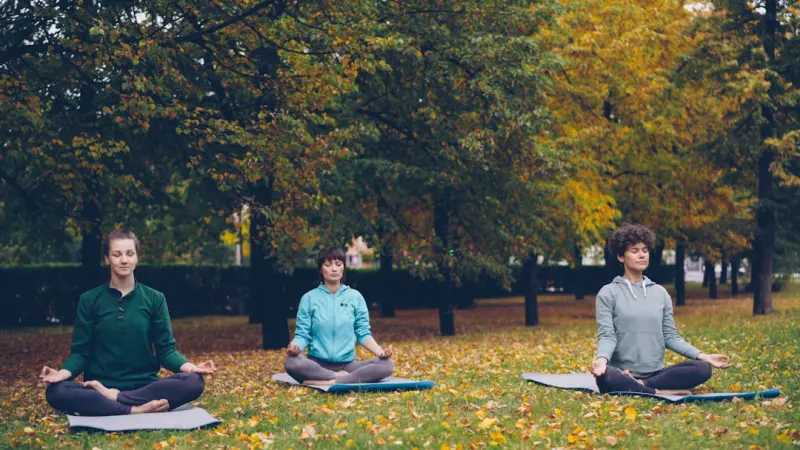 Grounding Your Body: A Nature‑Based Detox Journey - Your Health Directory Grounding Your Body: A Nature‑Based Detox Journey - Your Health Directory