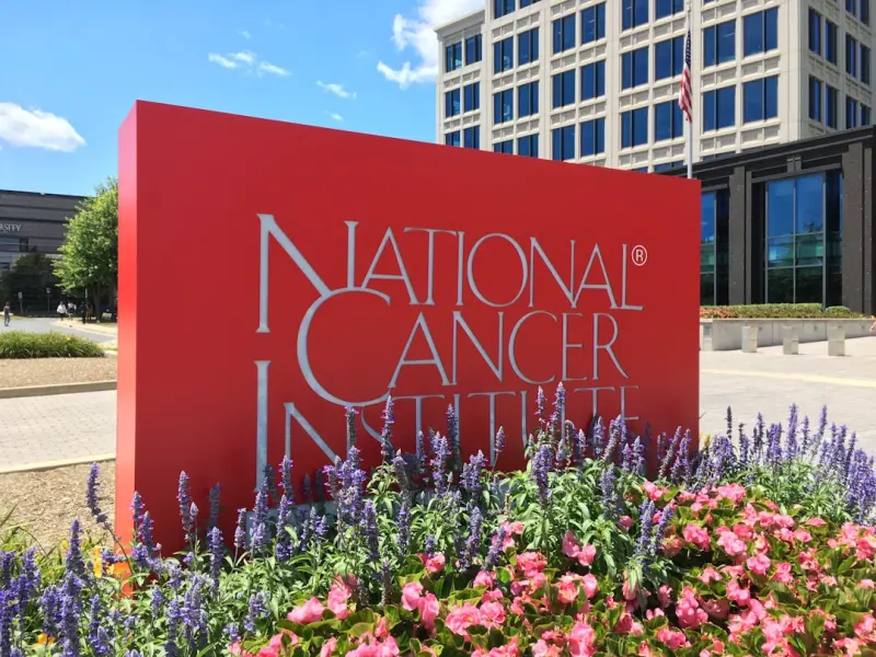 The Unseen Power of Narrative Medicine in Cancer Care
