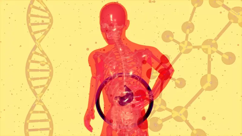 Unlocking Liver Health: Nutrition, Rhythm, and Resilience - Your Health Directory